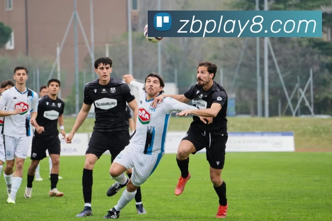 众宝娱乐官网APP 封面图